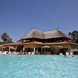 https://camping-free-beach.it-tuscanyhotel.com